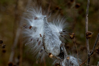 Autumn in the Shenandoah Valley